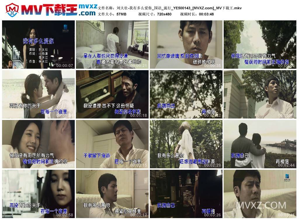 刘大壮-我有多么爱你_国语_流行_YE500143